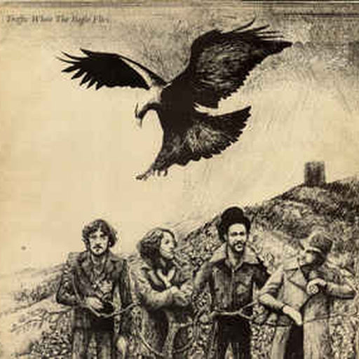 Traffic – When The Eagle Flies (LP, Vinyl Record Album)