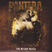 Pantera – Far Beyond Driven (2xLP) - Image 1