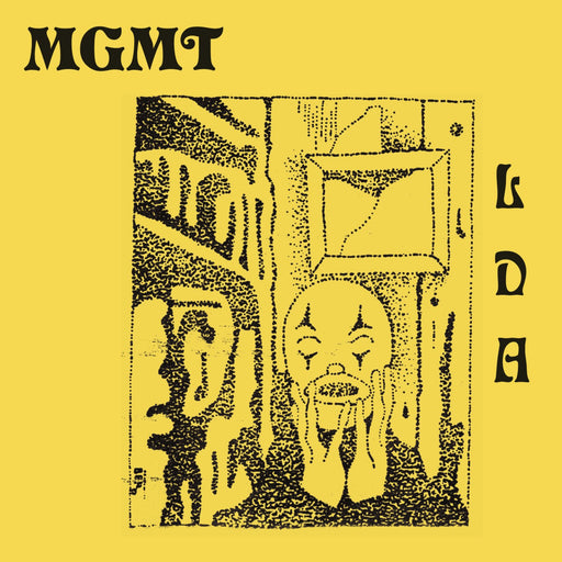 MGMT – Little Dark Age (2xLP) LP vinyl record, image 1 of 2