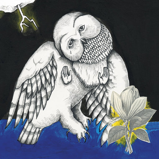 Songs: Ohia – The Magnolia Electric Co (2xLP) LP vinyl record, image 1 of 2