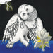 Songs: Ohia – The Magnolia Electric Co (2xLP) LP vinyl record, image 1 of 2