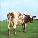 Pink Floyd – Atom Heart Mother - Image 1