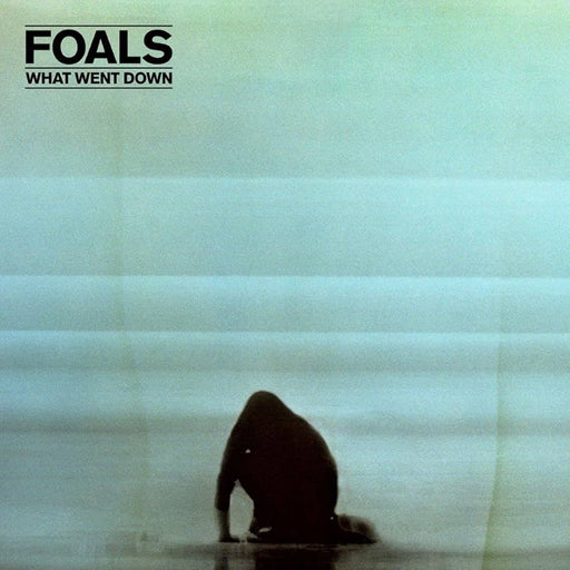 Foals – What Went Down LP vinyl record, image 1 of 3