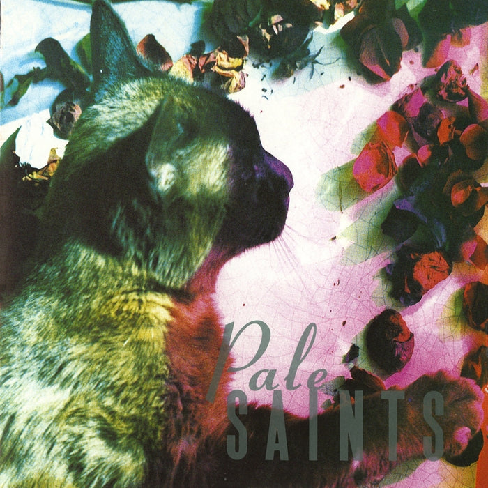 Pale Saints – The Comforts Of Madness (LP, Vinyl Record Album)