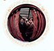 Captain Beefheart, The Magic Band – Safe As Milk (2xLP) LP vinyl record, image 1 of 2