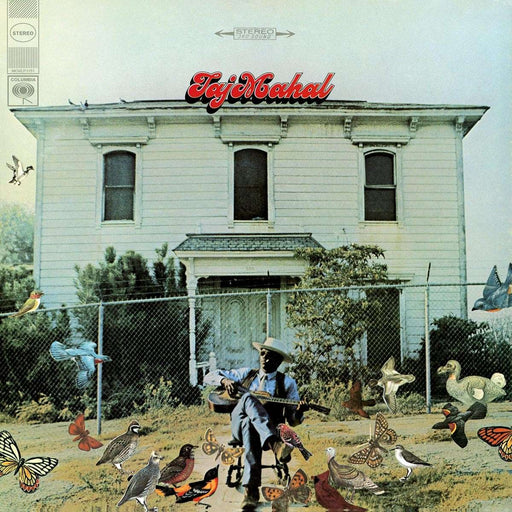 Taj Mahal – Taj Mahal LP vinyl record, image 1 of 2