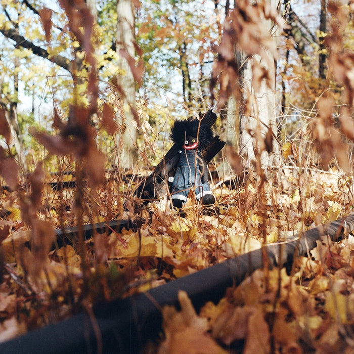 Billy Woods – Golliwog (2xLP) (LP, Vinyl Record Album)