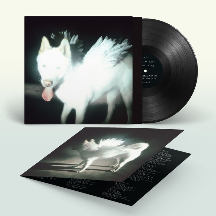 Fat Dog – Cancel Me (i’m Tired) (vinyl) LP vinyl record, image 2 of 2