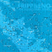 Fripp & Eno – The Equatorial Stars (LP, Vinyl Record Album)