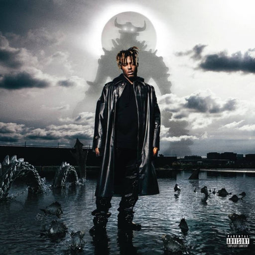 Juice WRLD – Fighting Demons (2xLP) (LP, Vinyl Record Album)