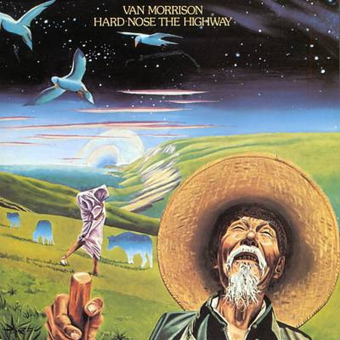 Van Morrison – Hard Nose The Highway (LP, Vinyl Record Album)