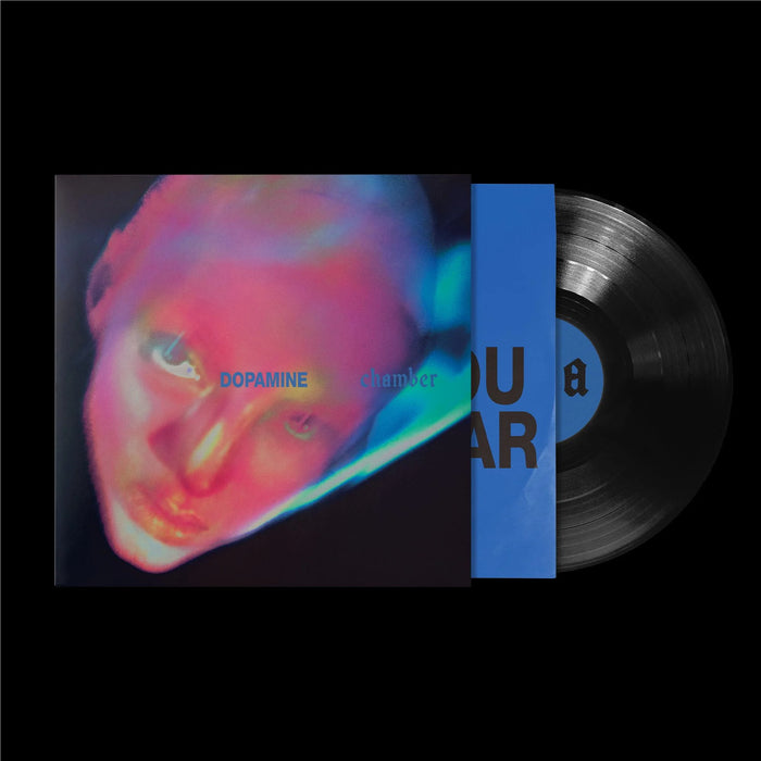 Fontaines D.C. – Dopamine Chamber LP vinyl record, image 2 of 2