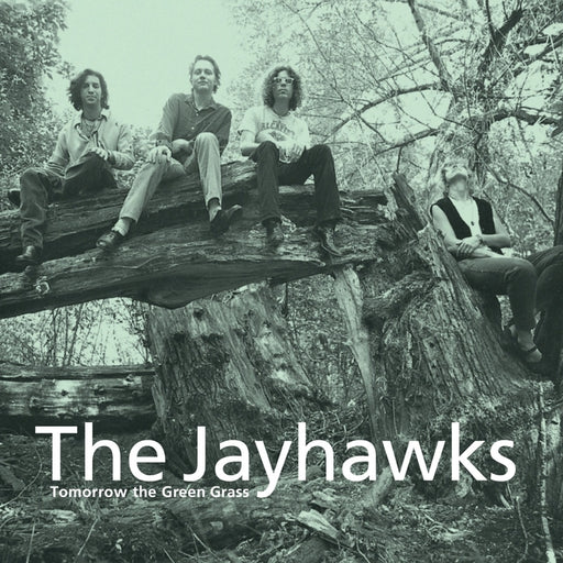 The Jayhawks – Tomorrow The Green Grass (LP, Vinyl Record Album)