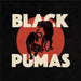 Black Pumas – Black Pumas LP vinyl record, image 1 of 2