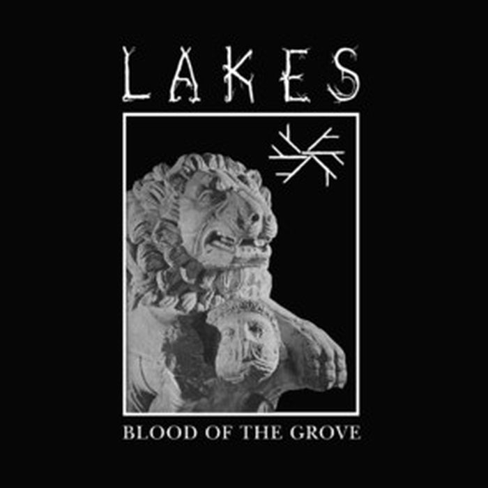 Blood Of The Grove – Lakes (LP, Vinyl Record Album)