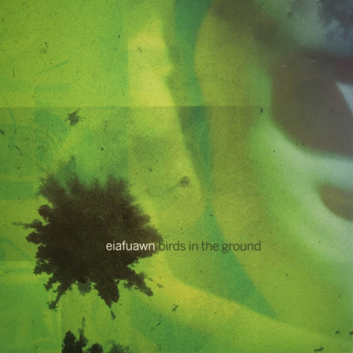 Eiafuawn – Birds In The Ground (LP, Vinyl Record Album)