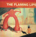 The Flaming Lips – Yoshimi Battles The Pink Robots - Image 1