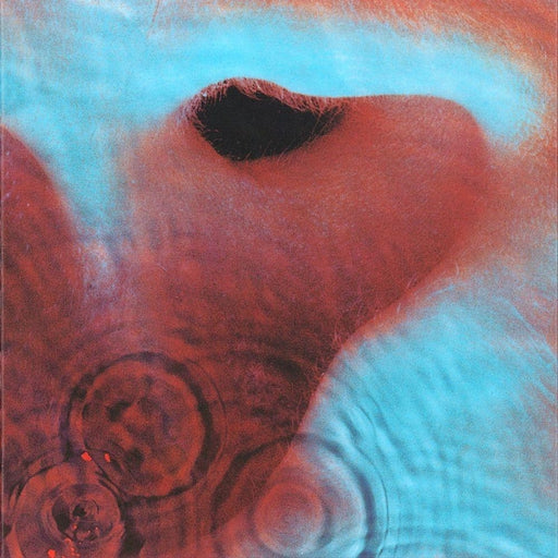 Pink Floyd – Meddle (LP, Vinyl Record Album)