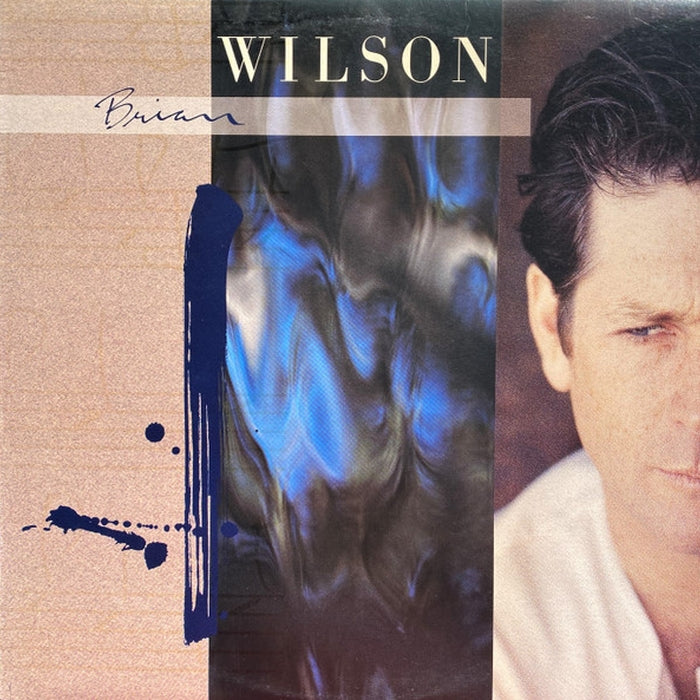 Brian Wilson – Brian Wilson (LP, Vinyl Record Album)