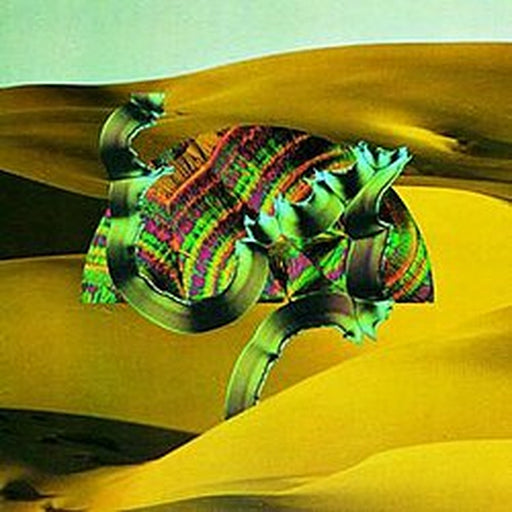 Django Django – Django Django (LP, Vinyl Record Album)