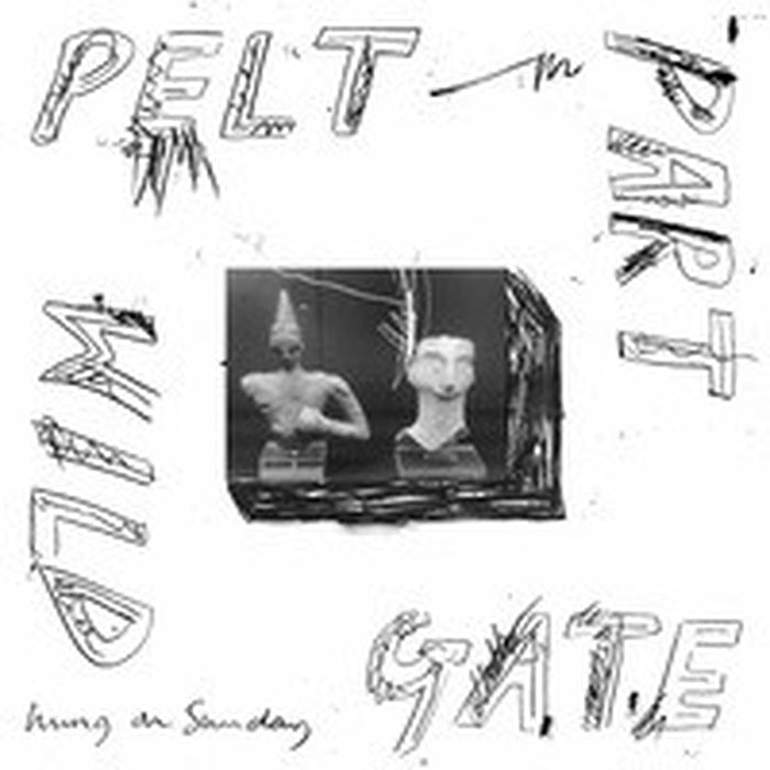 Pelt Part Wild Gate – Hung On Sunday (LP, Vinyl Record Album)