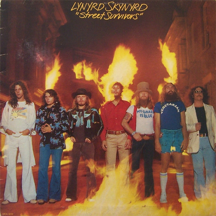 Lynyrd Skynyrd – Street Survivors (LP, Vinyl Record Album)