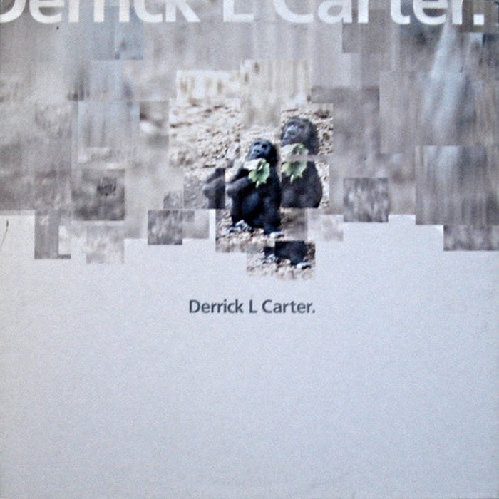 Derrick Carter – Mo Pschidt (LP, Vinyl Record Album)
