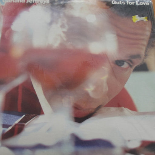 Garland Jeffreys – Guts For Love (LP, Vinyl Record Album)