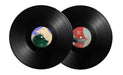 Dj Shadow - The Mountain Will Fall (2xLP, 10th Anniversary Edition) LP vinyl record, image 3 of 5
