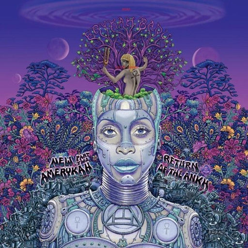 Erykah Badu – New Amerykah Part Two: Return Of The Ankh (2xLP, Coloured vinyl) - Image 1