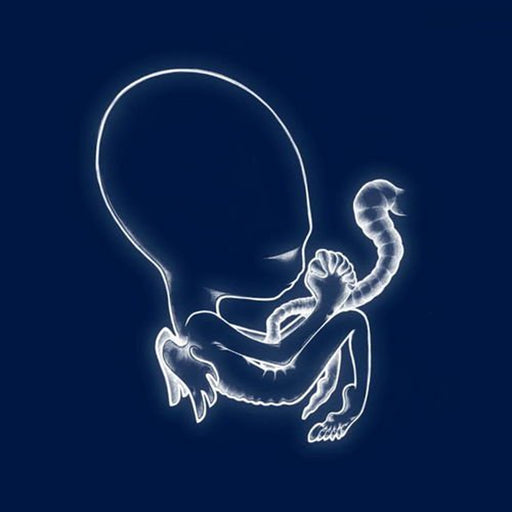 Sigur Rós – Ágætis Byrjun (2xLP) LP vinyl record, image 1 of 3