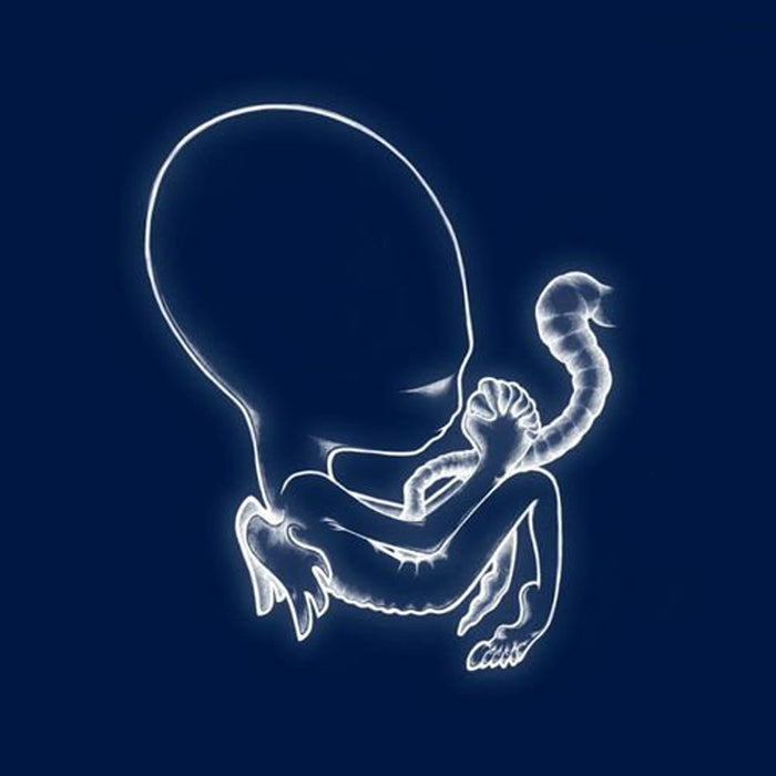 Sigur Rós – Ágætis Byrjun (2xLP) LP vinyl record, image 1 of 3