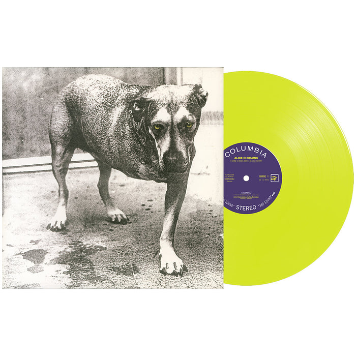 Alice in Chains – Alice in Chains (2xLP, 30th Anniversary Edition, Yellow vinyl) - Image 2