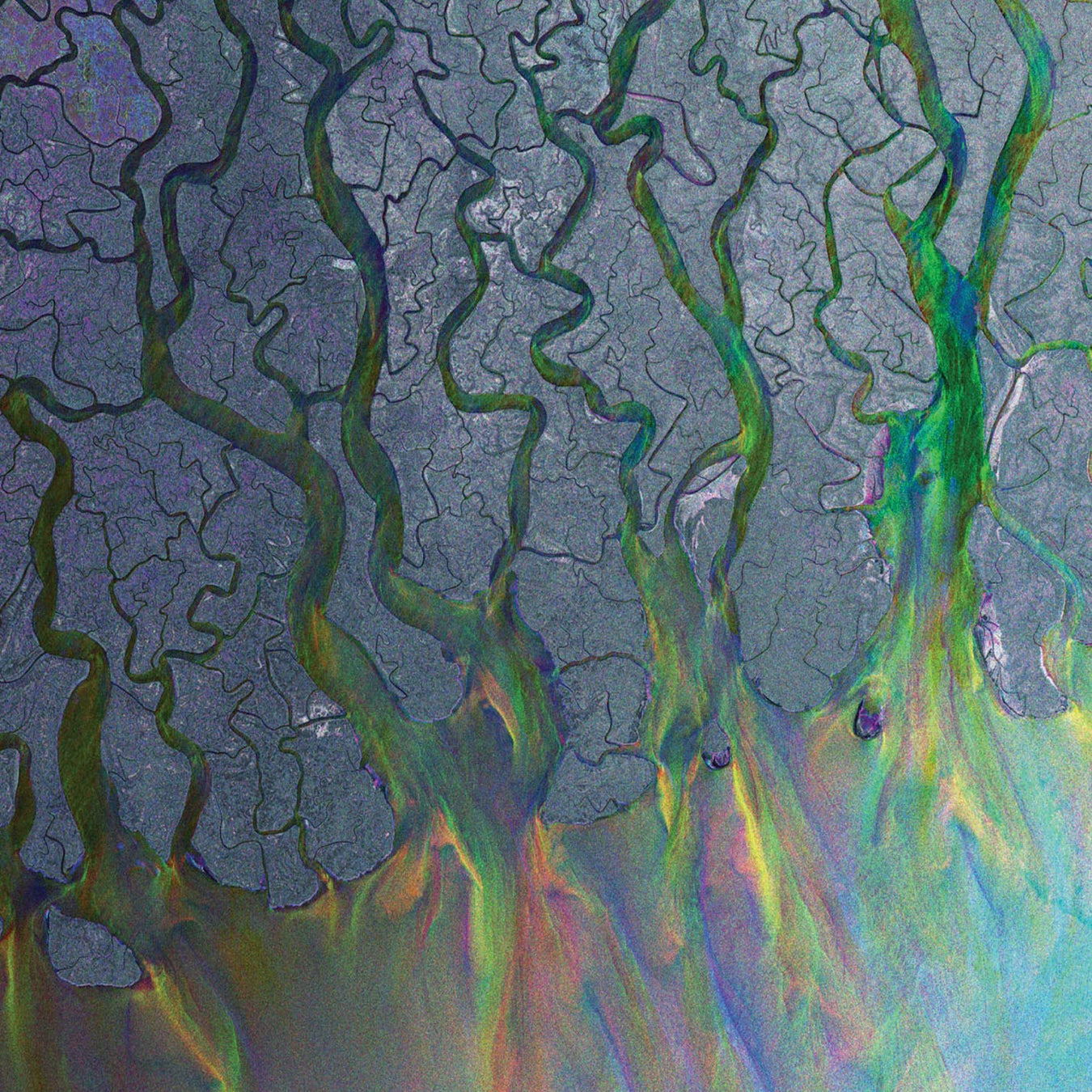 alt-J Vinyl Records