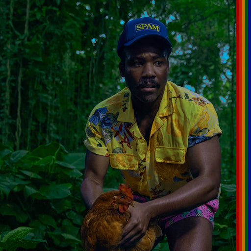 Childish Gambino – Bando Stone And The New World (2xLP) - Image 1