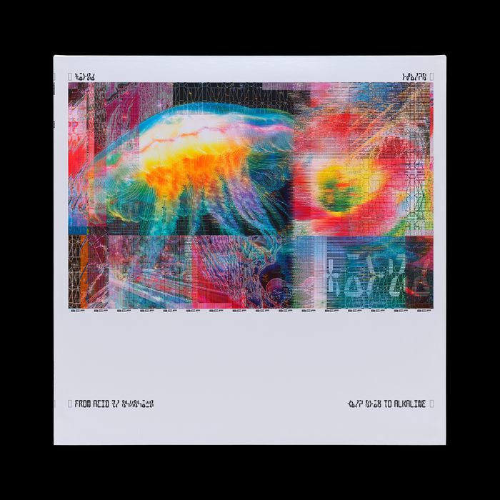 Bicep – Chroma000 (2xLP) - Image 2