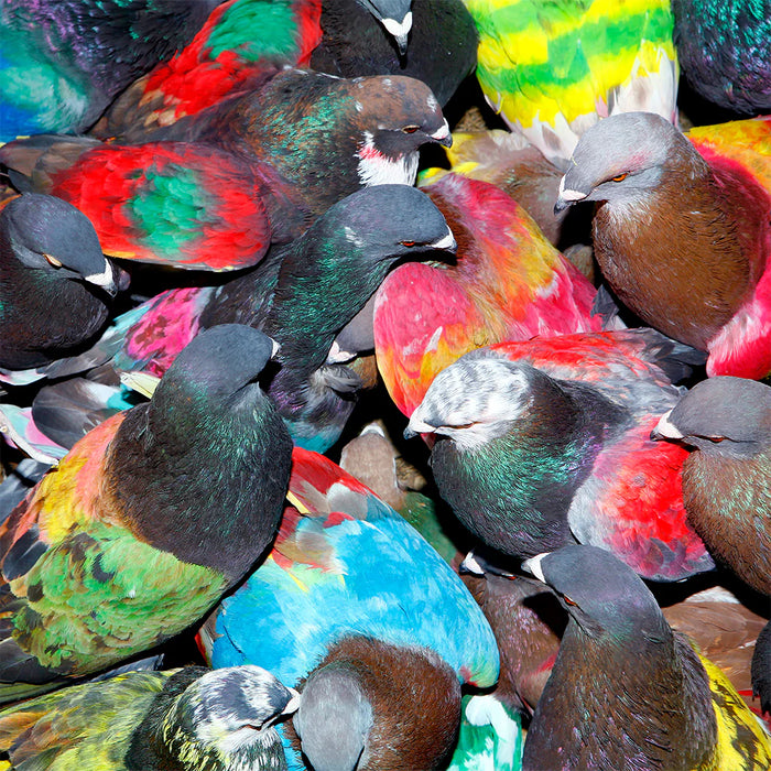 Blawan – SickElixir - Image 1