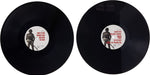 Greatest Hits – Bruce Springsteen (2xLP) - Image 2