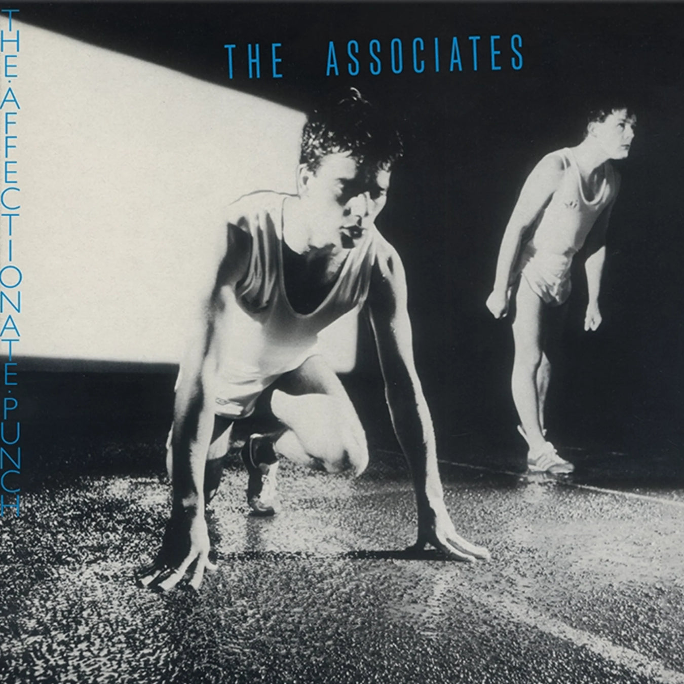 The Associates Vinyl Records