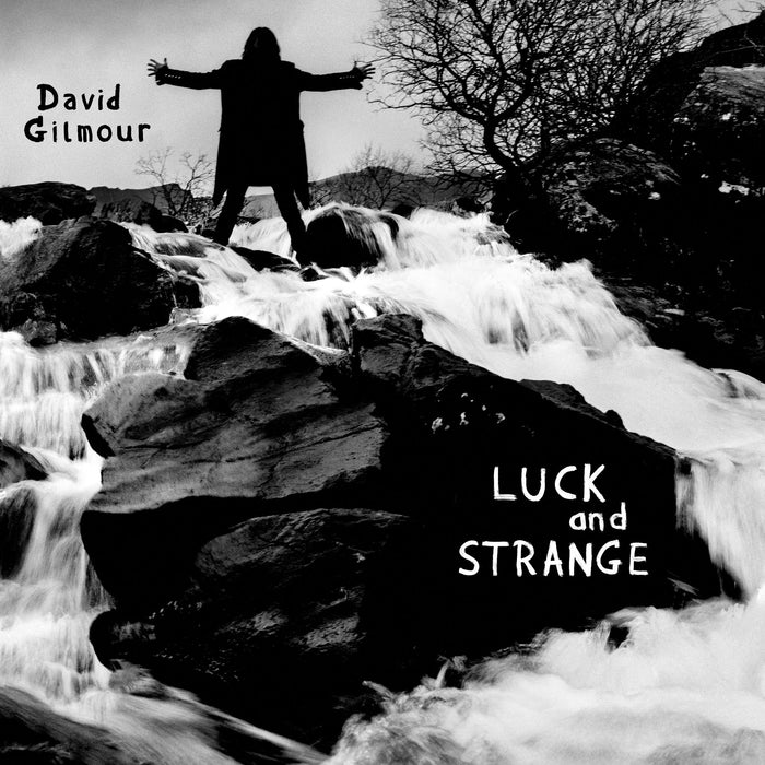 David Gilmour – Luck And Strange - Image 1