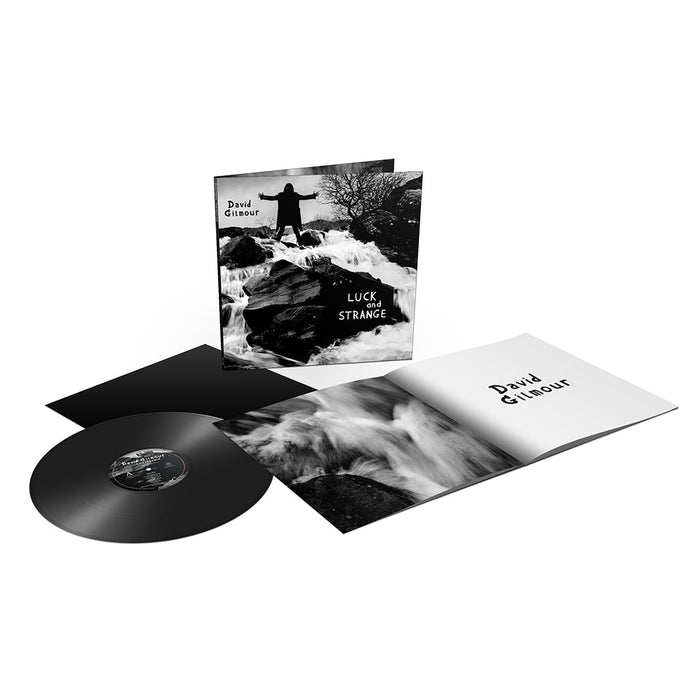 David Gilmour – Luck And Strange - Image 2