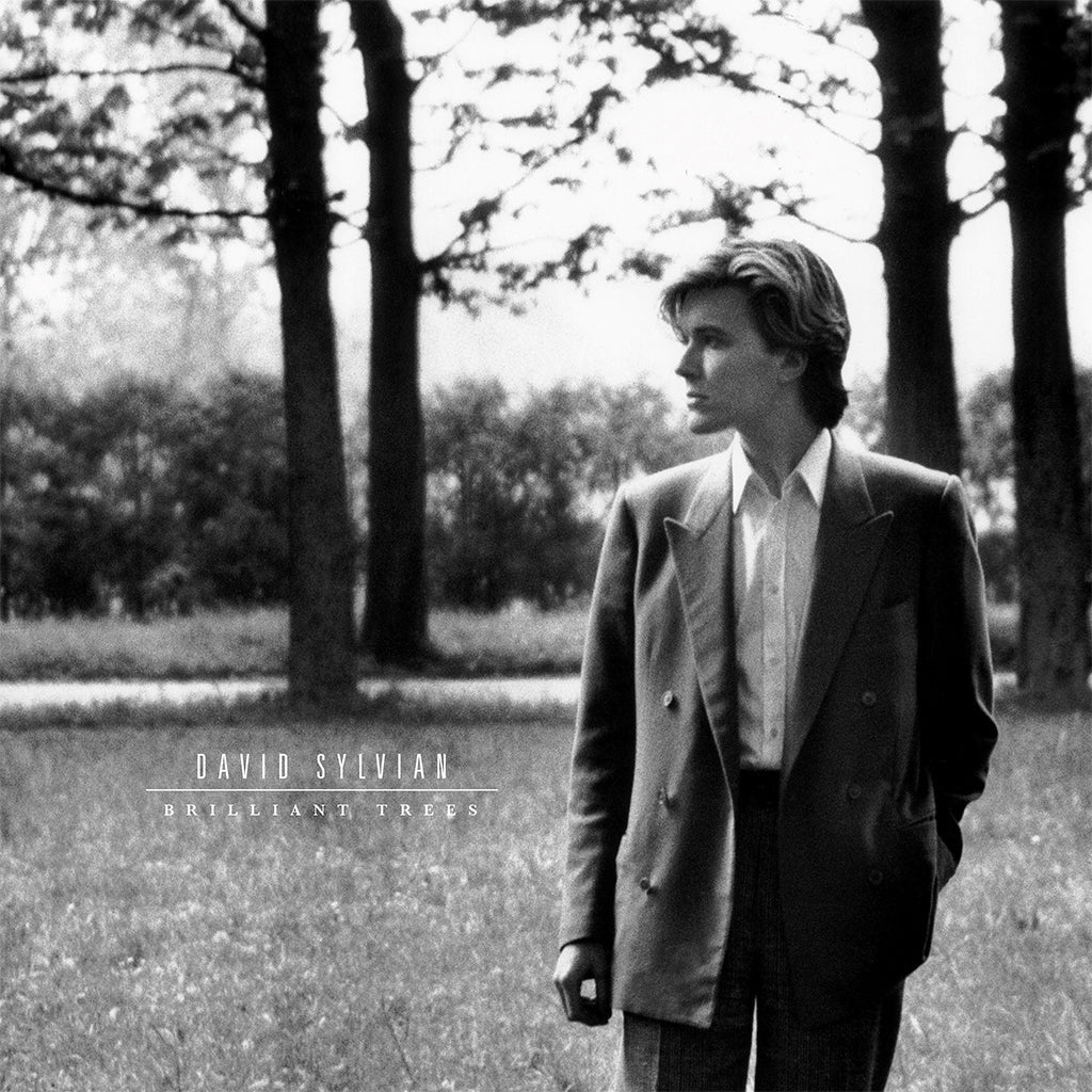 David Sylvian Vinyl Records