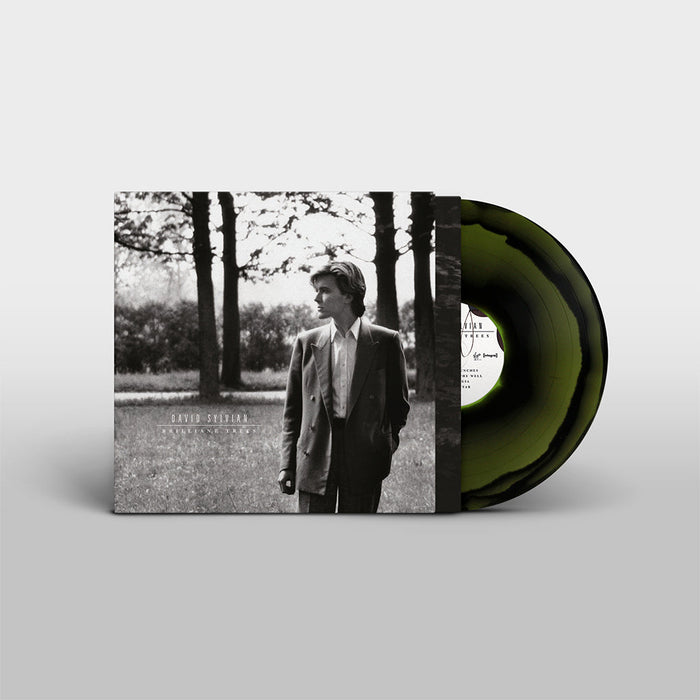 David Sylvian – Brilliant Trees - Image 2