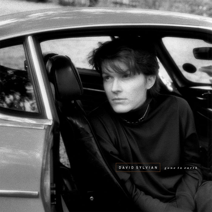 David Sylvian – Gone To Earth (2xLP, Coloured Vinyl) LP vinyl record, image 1 of 3