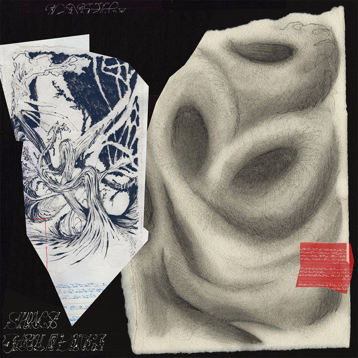 Earth And Bones – Shoals LP vinyl record, image 2 of 2