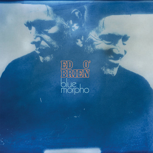Ed Obrien – Blue Morpho - Image 1