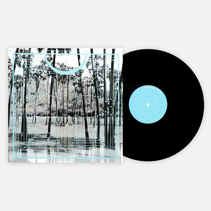 Four Tet – Pink (2xLP) - Image 3