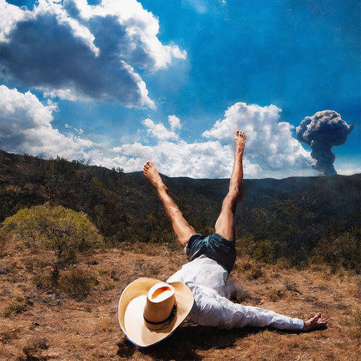 Geese – 3D Country - Image 1