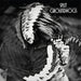 The Groundhogs – Split (Gold Vinyl) - Image 1
