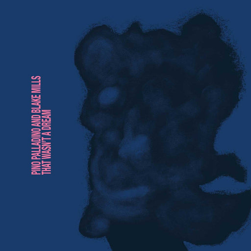 Pino Palladino, Blake Mills – That Wasn't A Dream - Image 1